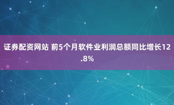 证券配资网站 前5个月软件业利润总额同比增长12.8%