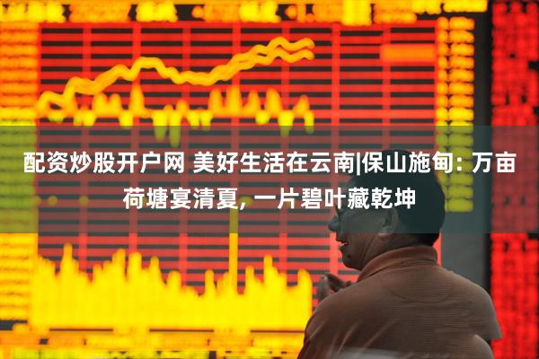 配资炒股开户网 美好生活在云南|保山施甸: 万亩荷塘宴清夏, 一片碧叶藏乾坤