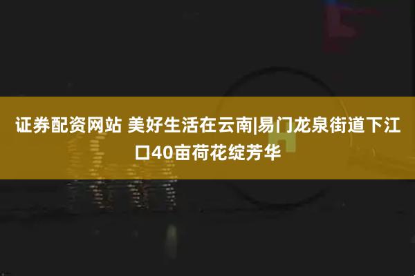 证券配资网站 美好生活在云南|易门龙泉街道下江口40亩荷花绽芳华