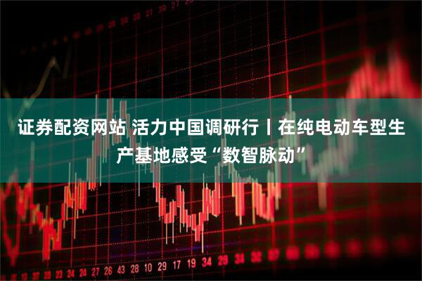 证券配资网站 活力中国调研行丨在纯电动车型生产基地感受“数智脉动”